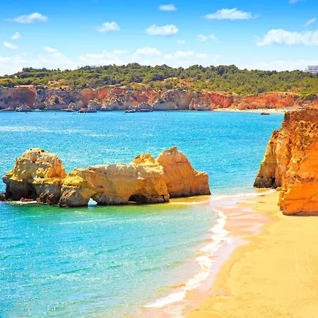 Apartment Homes Da Rocha Bright 50 M Away From The Ocean *